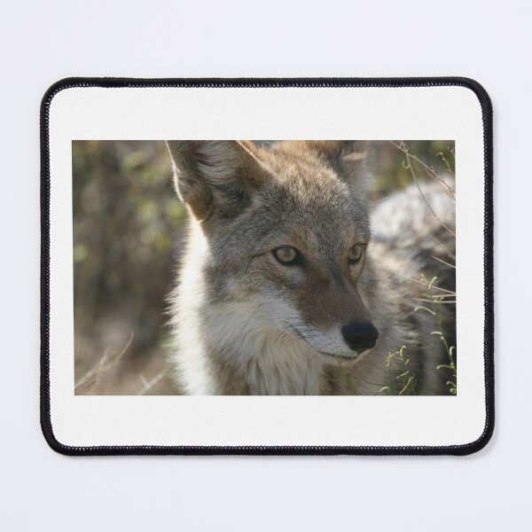 Item preview, Fox designed and sold by Romper65.