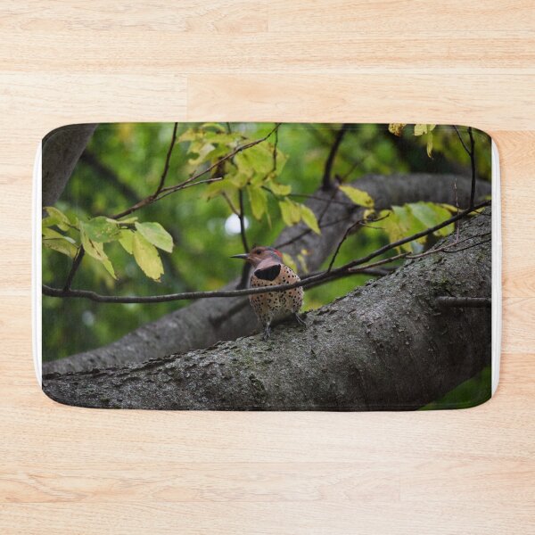 Item preview, Northern Flicker designed and sold by Tracy Engle.