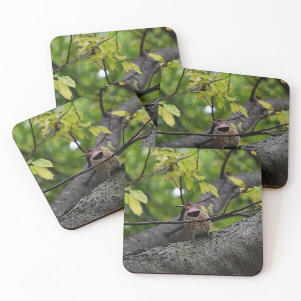 Item preview, Northern Flicker designed and sold by Tracy Engle.