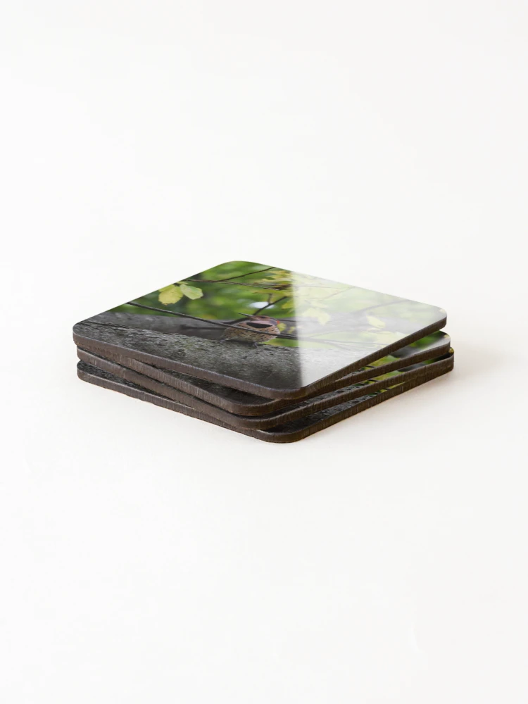 Thumbnail 4 of 5, Coasters (Set of 4), Northern Flicker designed and sold by Tracy Engle.