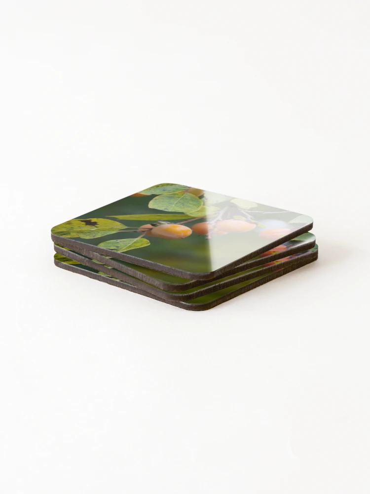 Thumbnail 4 of 5, Coasters (Set of 4), Persimmons designed and sold by Tracy Engle.