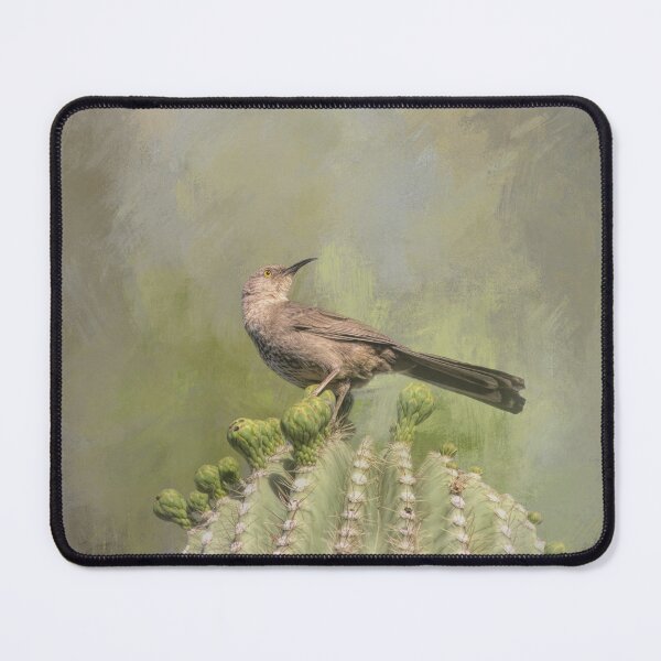 Item preview, King of My Saguaro Two designed and sold by Elisabeth Lucas.