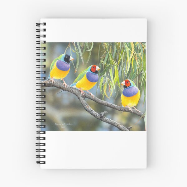 Item preview, "The Rainbow Coalition" (Gouldian Finches) designed and sold by Frances McMahon Watercolour Bird Artist.