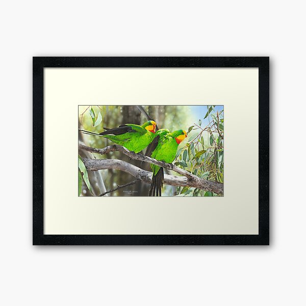 Item preview, "Teeming with Green" (Superb Parrots) designed and sold by Frances McMahon Watercolour Bird Artist.