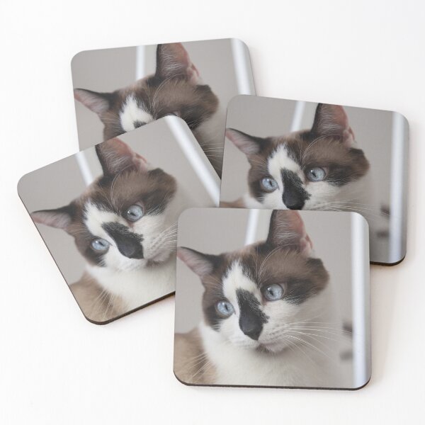 Item preview, World's Cutest Snowshoe Cat designed and sold by Elisabeth Lucas.