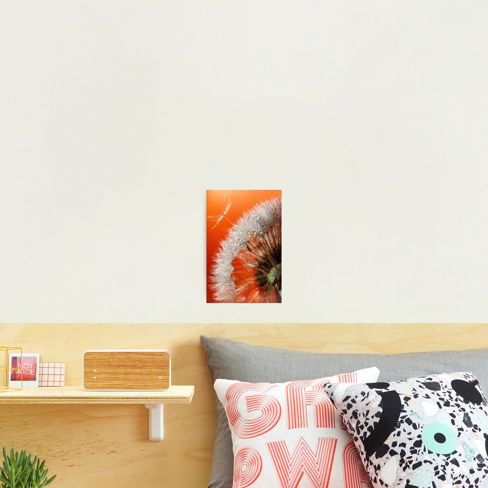 Item preview, Photographic Print designed and sold by SunsetMagic.