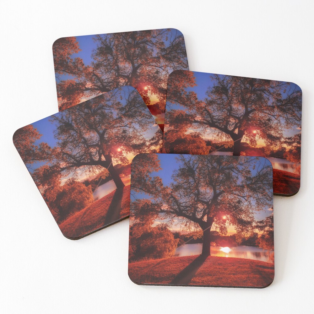 Item preview, Coasters (Set of 4) designed and sold by SunsetMagic.