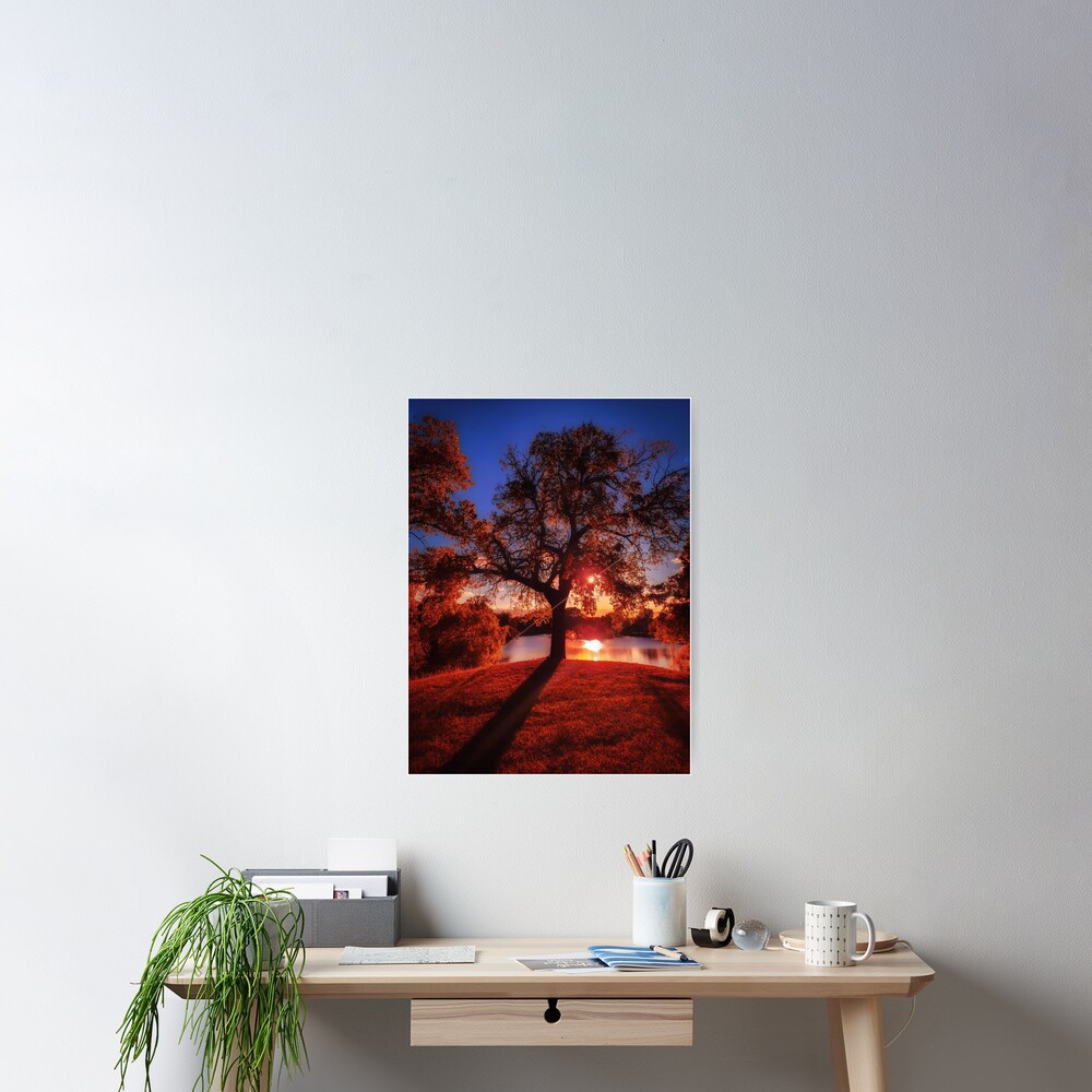 Item preview, Poster designed and sold by SunsetMagic.