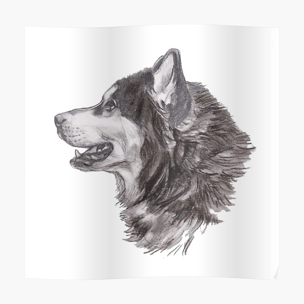 "Classic Siberian Husky Dog Profile Drawing" Poster by LaLanny | Redbubble