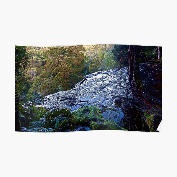 MT FIELD ~ SCENES & SCENERY ~ The Edge by tasmanianartist Poster