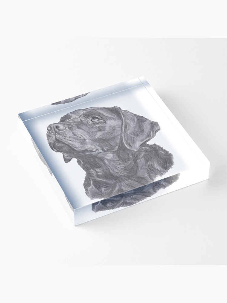 Alternate view of Classic Labrador Retriever Dog Profile Drawing Acrylic Block