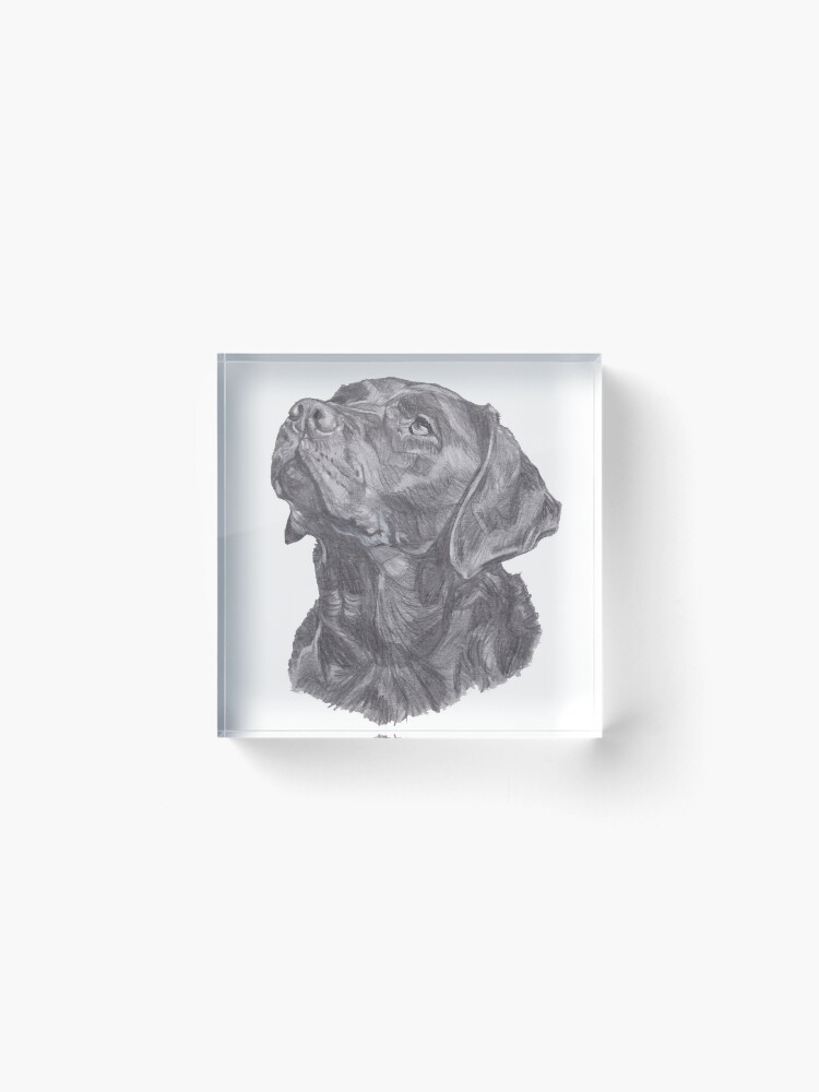 Alternate view of Classic Labrador Retriever Dog Profile Drawing Acrylic Block