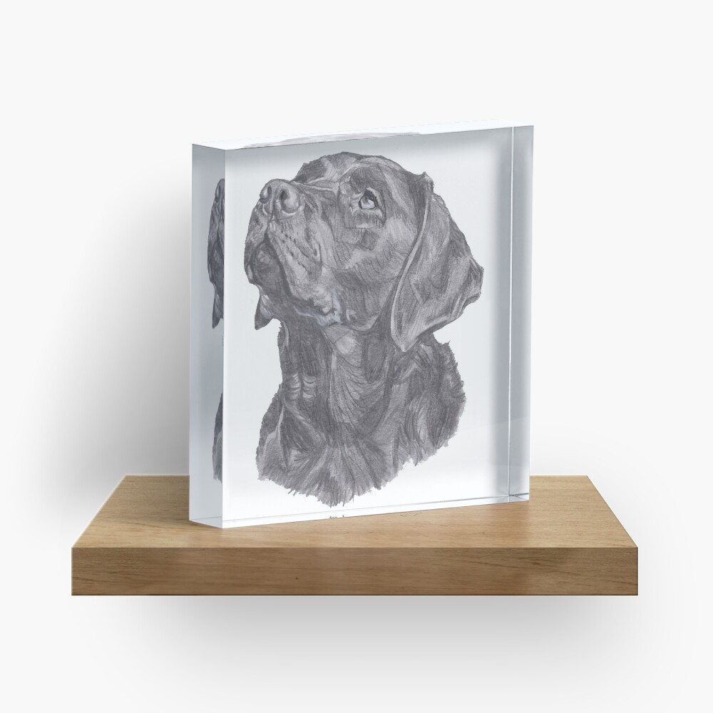 Classic Labrador Retriever Dog Profile Drawing Acrylic Block
