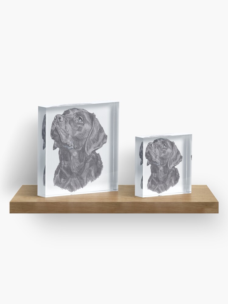 Alternate view of Classic Labrador Retriever Dog Profile Drawing Acrylic Block