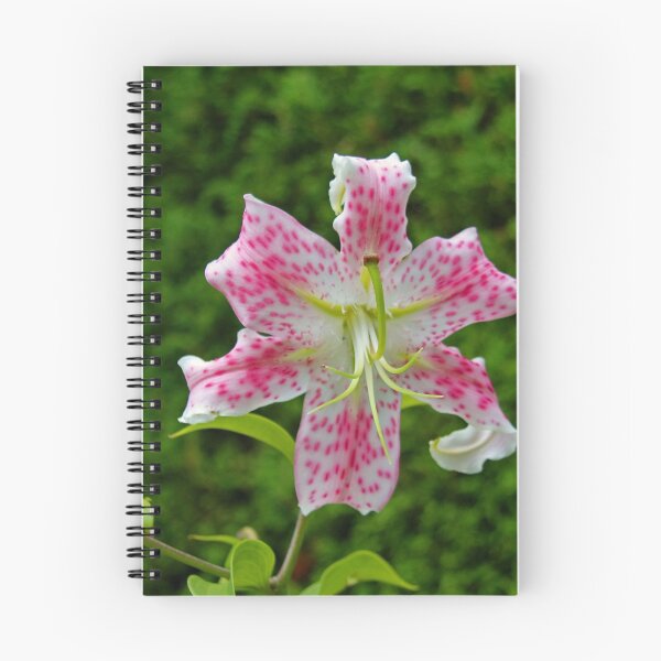 Item preview, Imminent Grandeur designed and sold by Michiale.