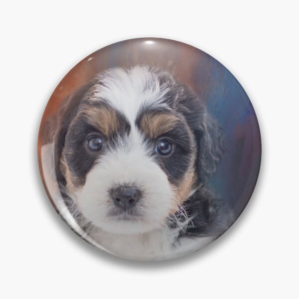Item preview, Tricolor Maltipoo Puppy Two designed and sold by Elisabeth Lucas.