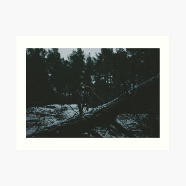 Very Light Snowfall Art Print