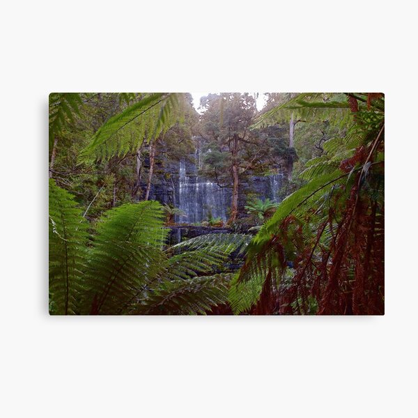 MT FIELD ~ SCENES & SCENERY ~ Russell Falls by tasmanianartist Canvas Print