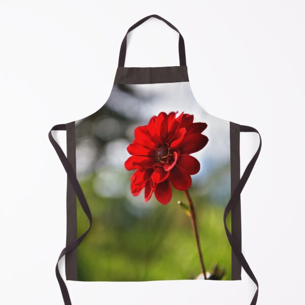 Item preview, Beautiful one red flower on blurred colourful background in the garden designed and sold by Borinna.