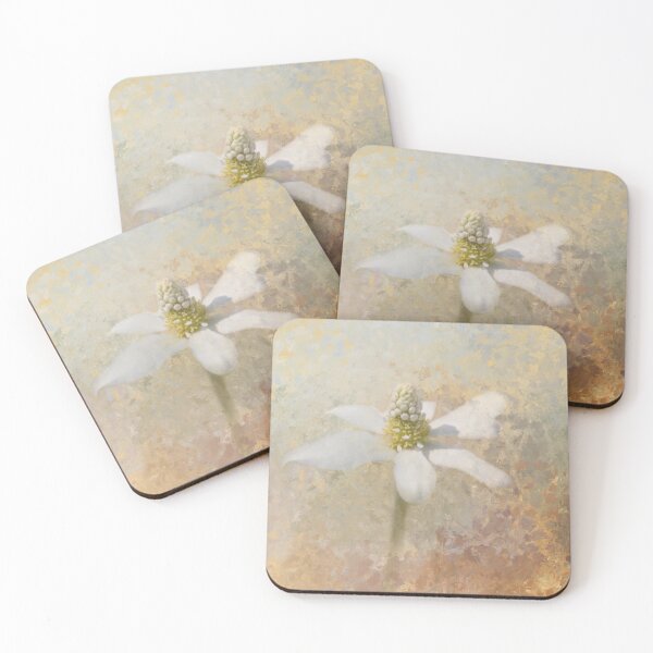 Item preview, Yerba Mansa Flower Two designed and sold by Elisabeth Lucas.