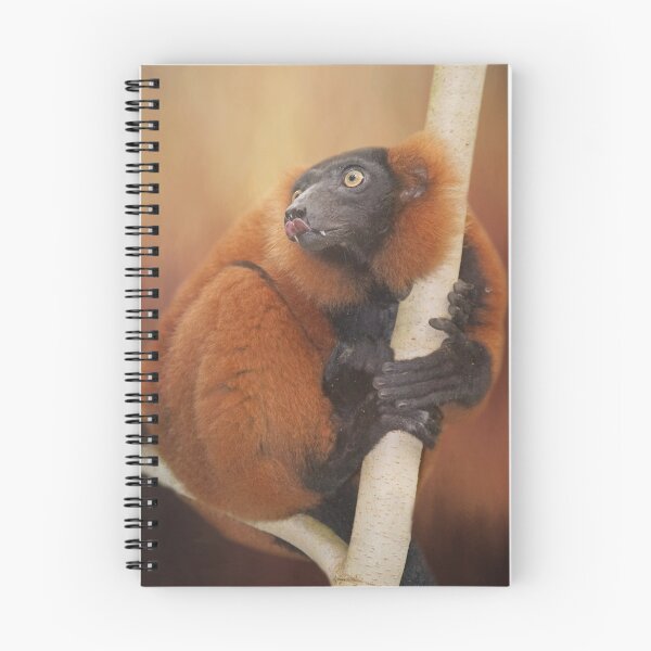 Item preview, Red Ruffed Lemur Two designed and sold by Elisabeth Lucas.