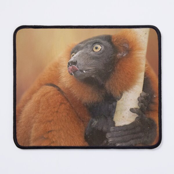 Item preview, Red Ruffed Lemur Two designed and sold by Elisabeth Lucas.