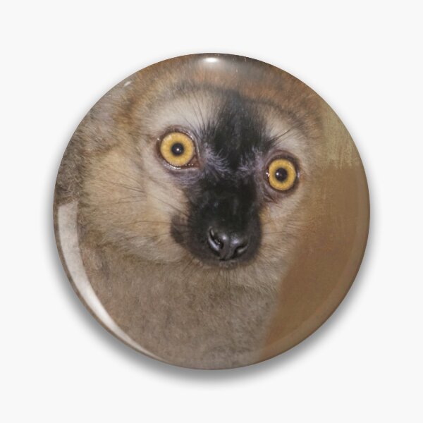 Item preview, Red Fronted Lemur Two designed and sold by Elisabeth Lucas.