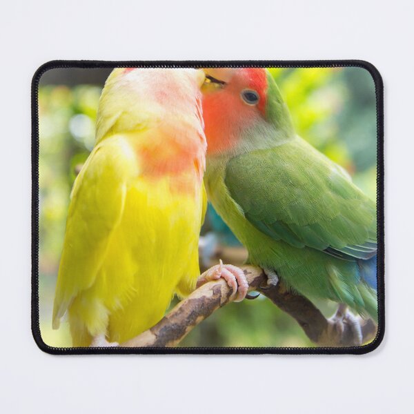 Item preview, Unique animal photography of A pair of loving rosy-faced lovebird designed and sold by AvonPerception.