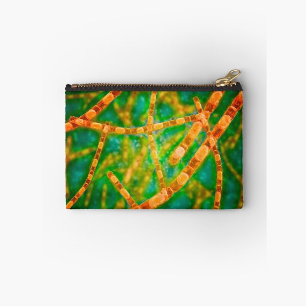 Item preview, Microscopic view of Anthrax. designed and sold by StocktrekImages.