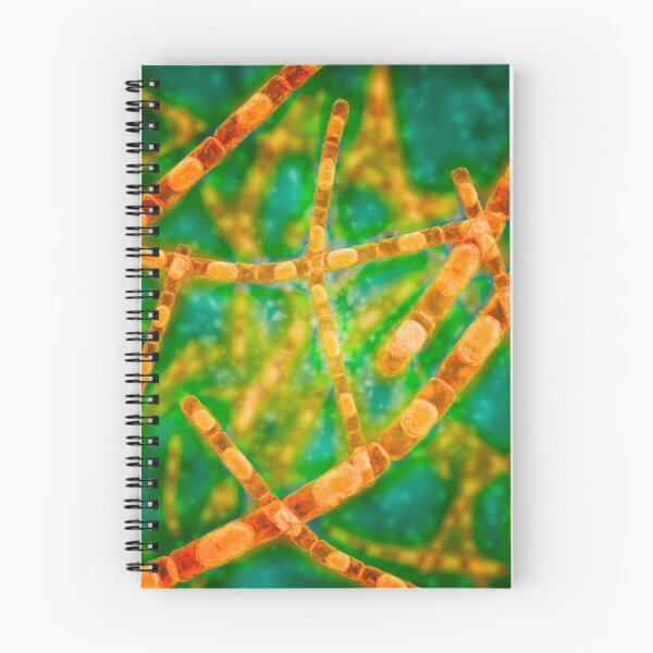 Item preview, Microscopic view of Anthrax. designed and sold by StocktrekImages.