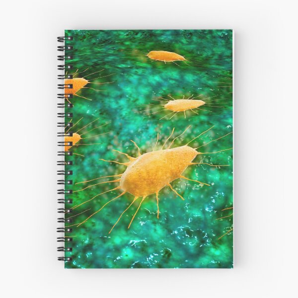 Item preview, Microscopic view of a group of macrophages. designed and sold by StocktrekImages.