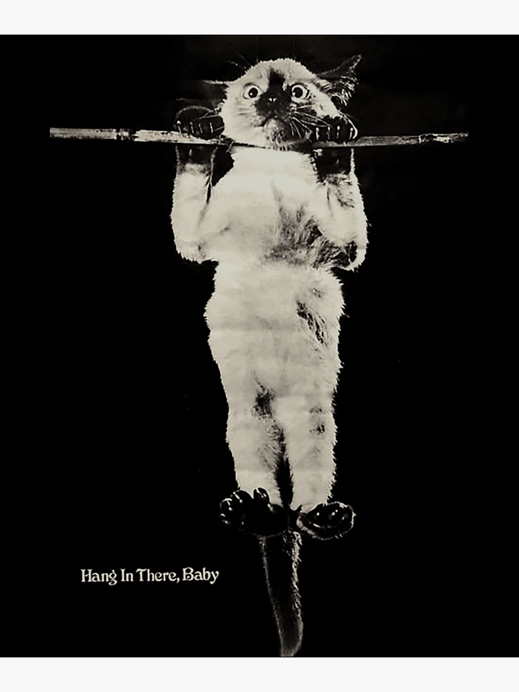 Society6 ケース Hang in There Baby by Huebucket Hang in There Baby Cat Vintage Inspired Poster Print - Etsy