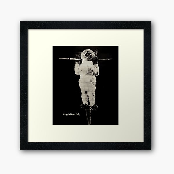 Item preview, Hang in there, Baby. Classic . designed and sold by MakenaMata.