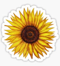 Sunflower Sticker