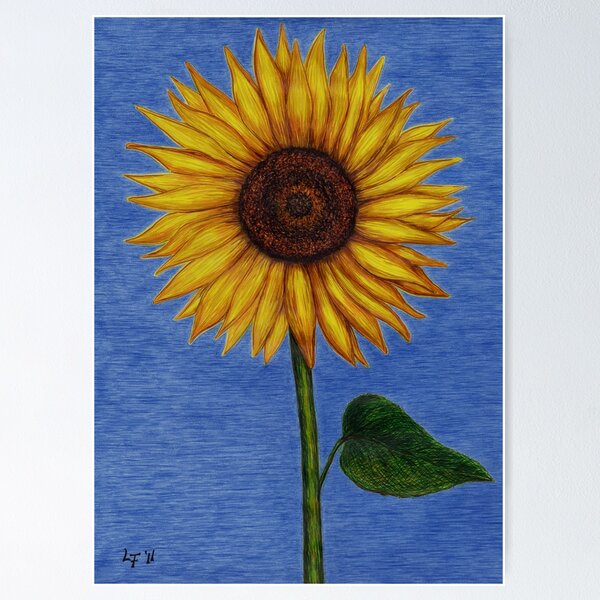 Sunflower Poster