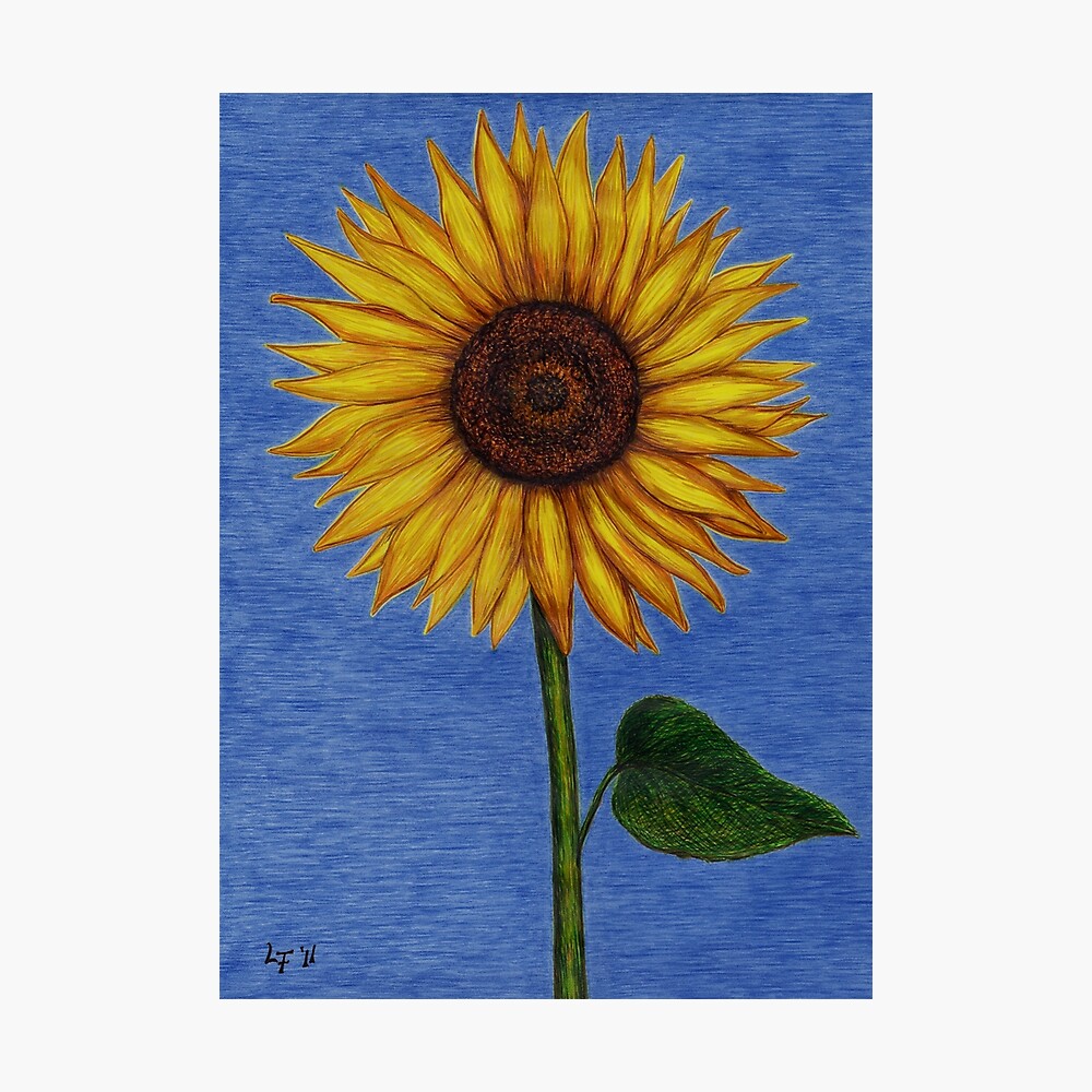 Póster «Girasol» de LFurtwaengler | Redbubble