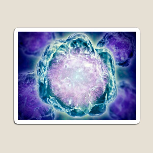 Item preview, Conceptual image of cytoskeleton. designed and sold by StocktrekImages.