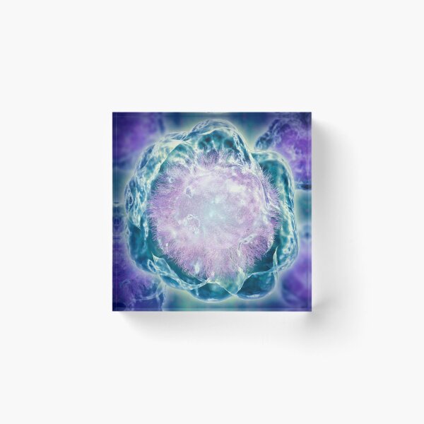 Item preview, Conceptual image of cytoskeleton. designed and sold by StocktrekImages.