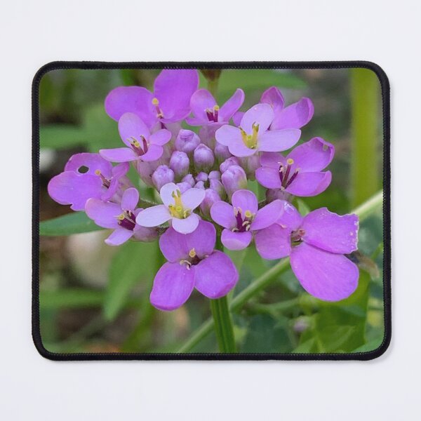 Item preview, Purple designed and sold by Vclark90.