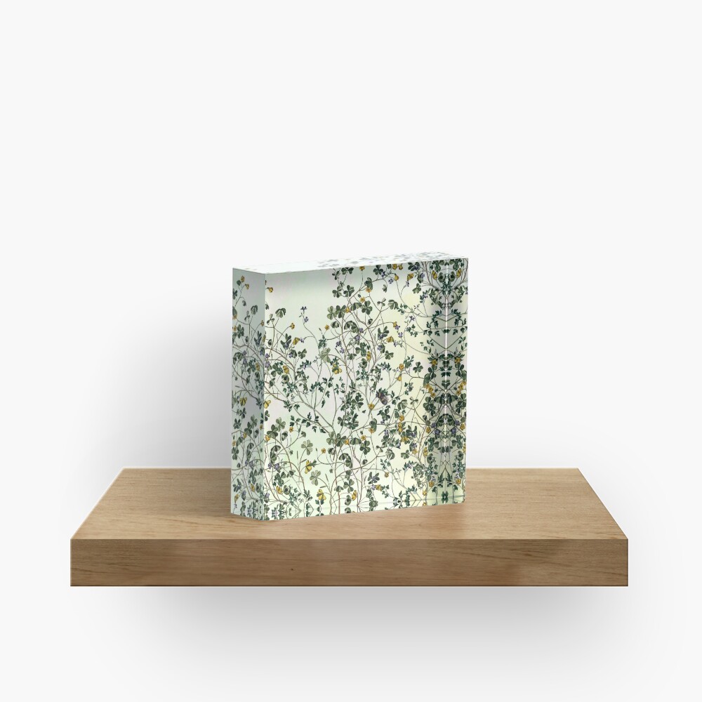 Entropy Acrylic Block