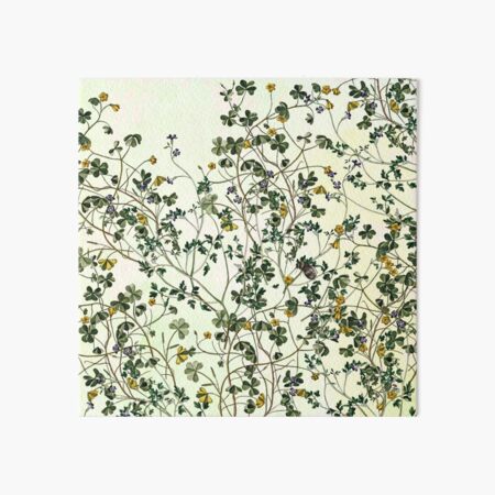 Entropy Art Board Print