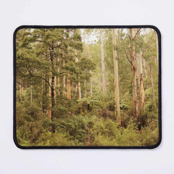 Item preview, Great Otway National Park designed and sold by imaginethis.