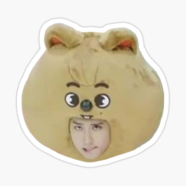 Item preview, Stray Kids Funny Han Meme designed and sold by kpopnow.