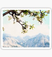 Apple Blossoms and Mountains Sticker