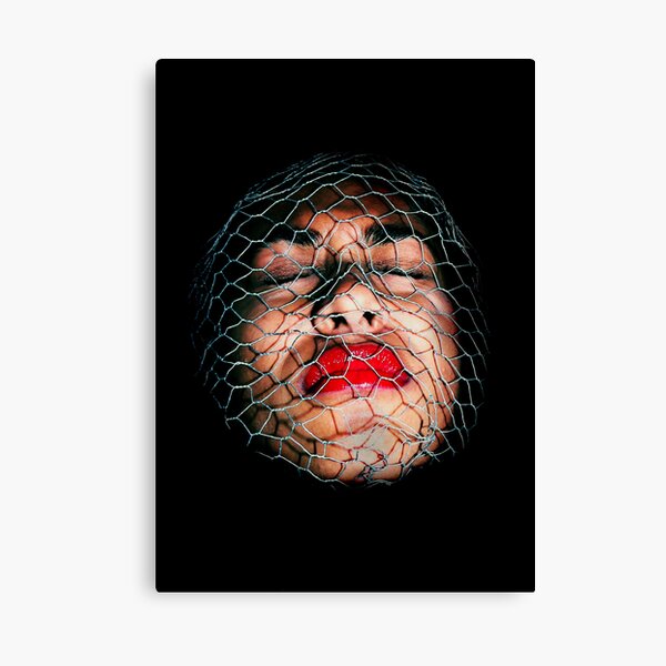 Captive Dream Canvas Print