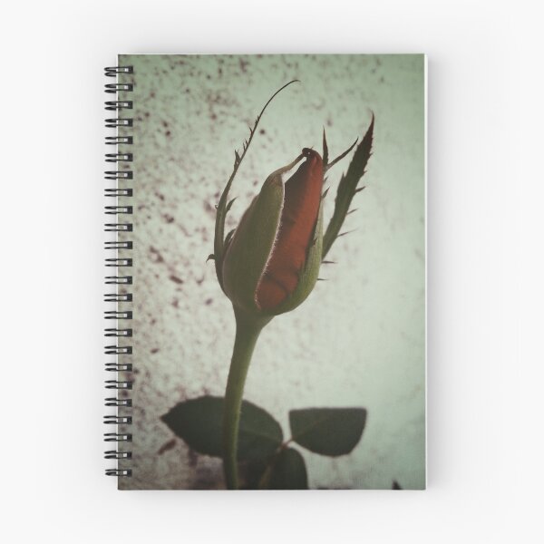 Item preview, Red Rose bud with coarse wall background designed and sold by CalmingColorArt.