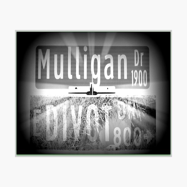 Mulligan Drive / Divot Drive Photographic Print