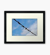 barbed wire Framed Print