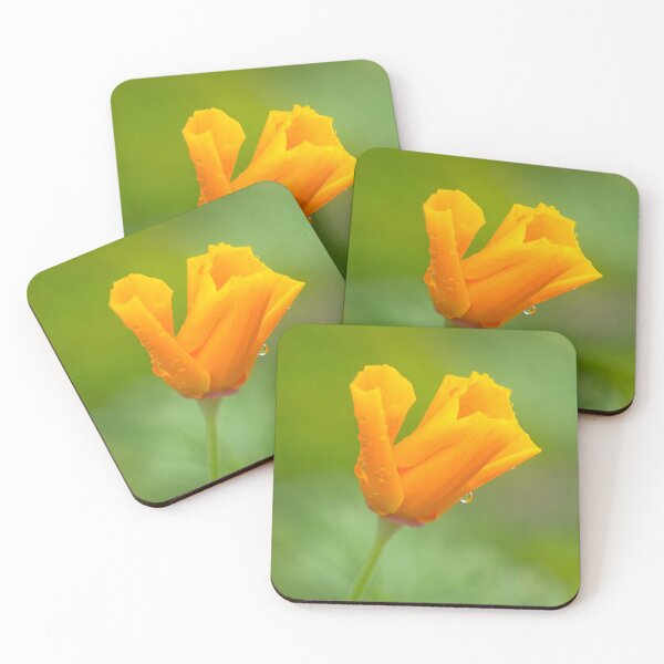 Item preview, California Poppy In The Rain designed and sold by Dorset Girl.