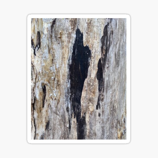 Item preview, Burnt tree bark texture designed and sold by Marilena Strambu.